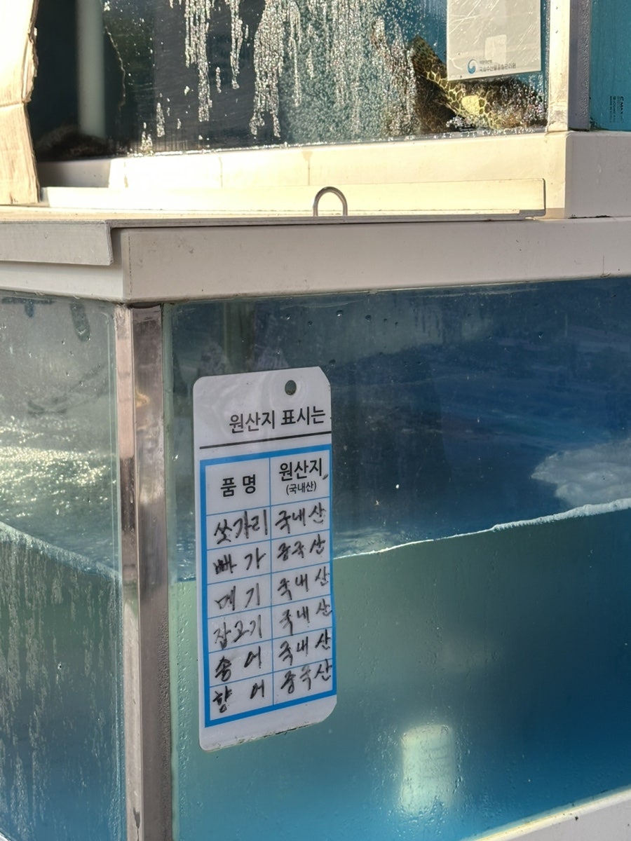 청강쏘가리 사진 5