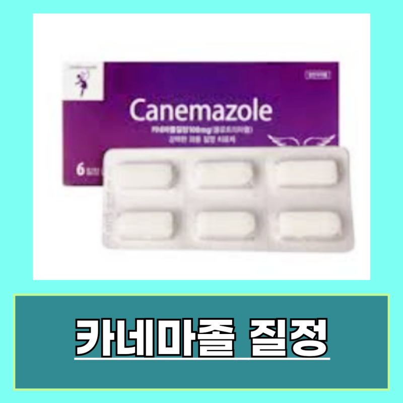 카네마졸 질정 사용법 효능 성분 부작용 알아보기