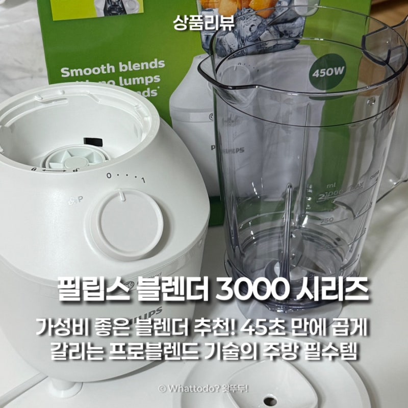 필립스 블렌더 3000 시리즈 HR2041 후기 가격은 가성비인데 성능은 프리미엄?!
