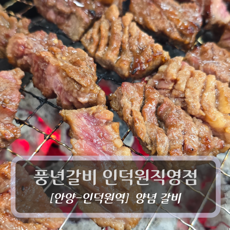  안양 인덕원 맛집 :: 풍년갈비 인덕원직영점 - 돼지갈비 소갈비 후기