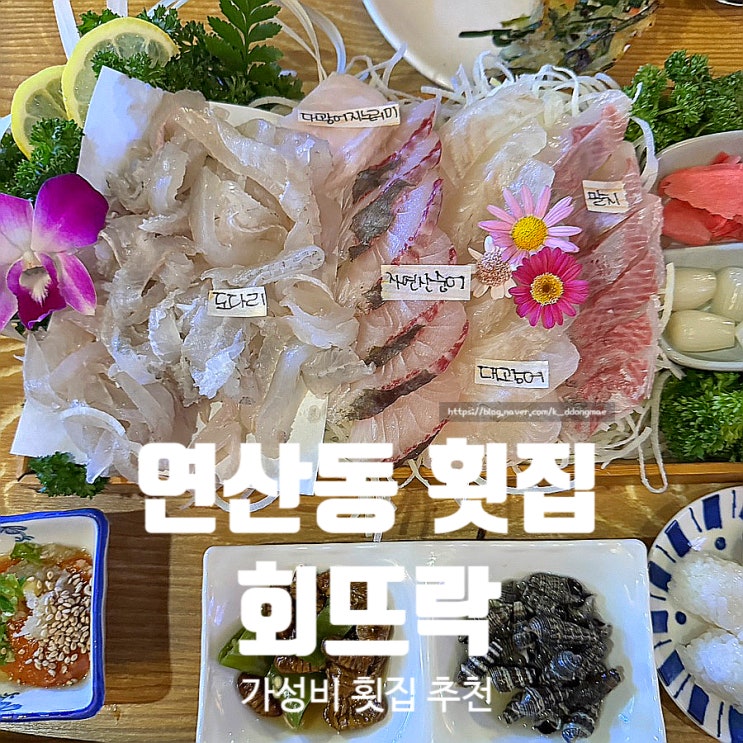  연산동 가성비 횟집 회뜨락 연산본점 내돈내산 방문후기