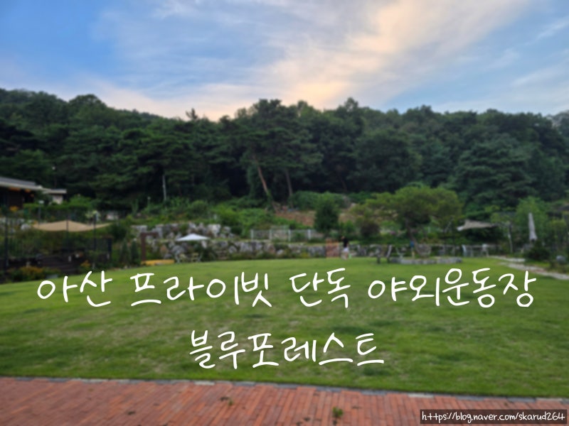 사진 2