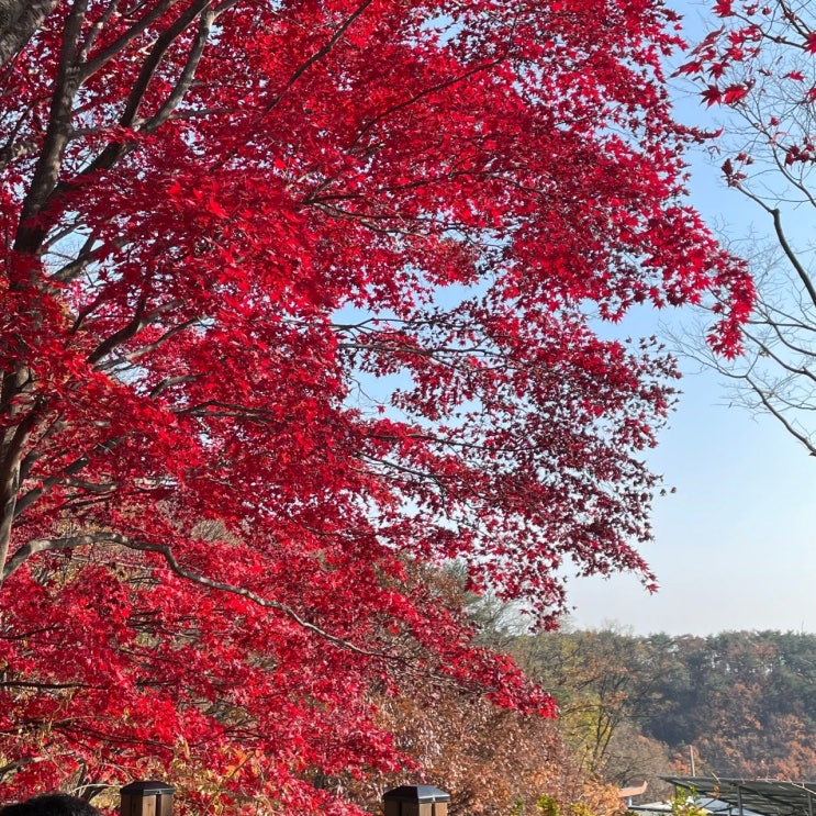  가을 단풍 속 온천 여행, 올가을 꼭 가봐야 할 10곳은? [한국철도일보]