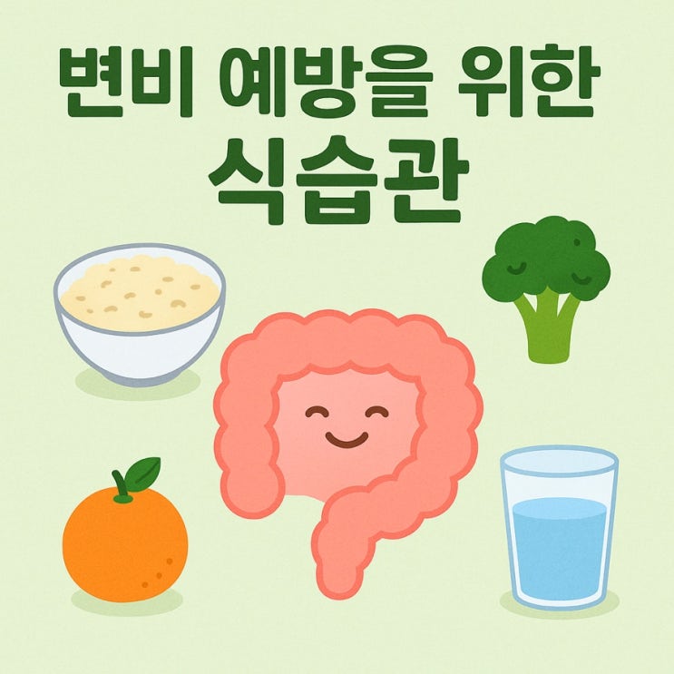  변비 예방을 위한 식습관 가이드 