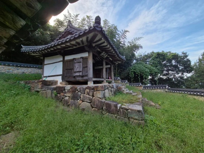 사진 5