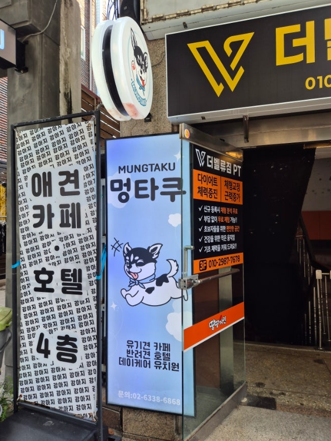 사진 10