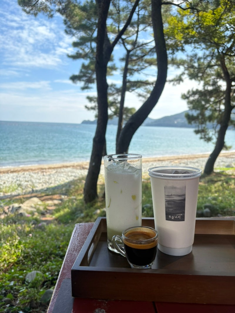 사진 3