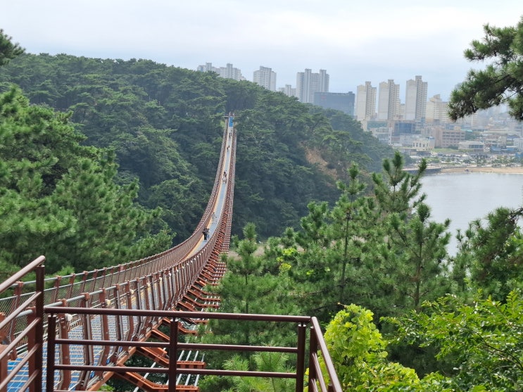 [울산 동구] 자연과 인공시설이 어울리는, 대왕암 공원