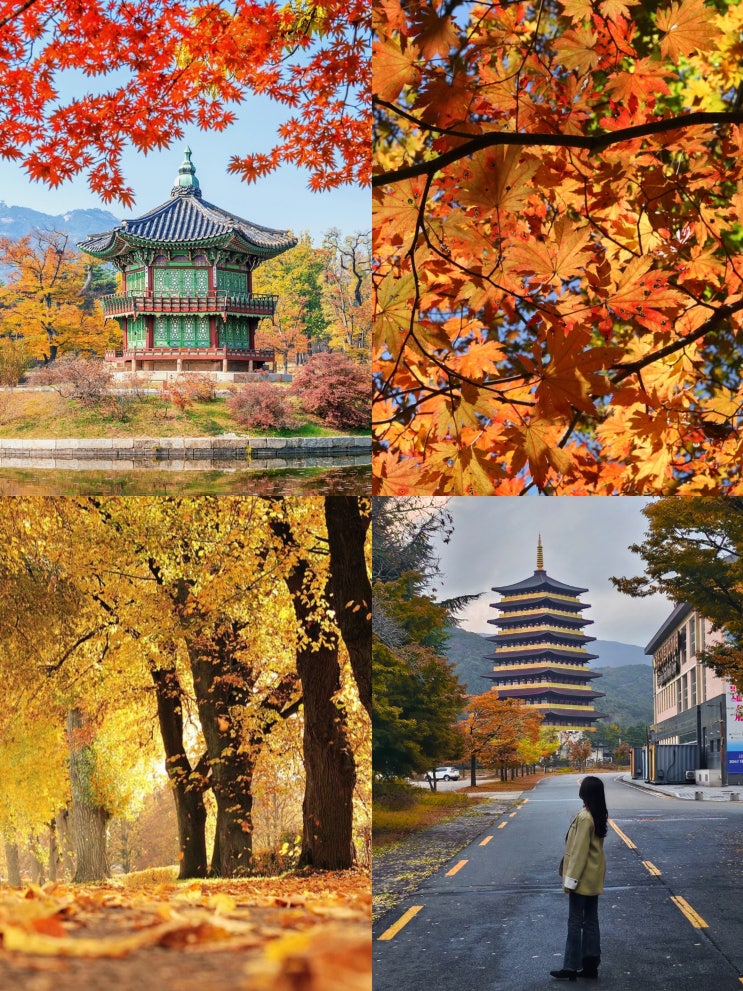  국내 10월 여행지 추천 | 2025 가을 여행지 국내 BEST 5
