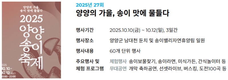 2025 양양송이축제 완전 정복! 일정부터 꿀팁까지 총정리