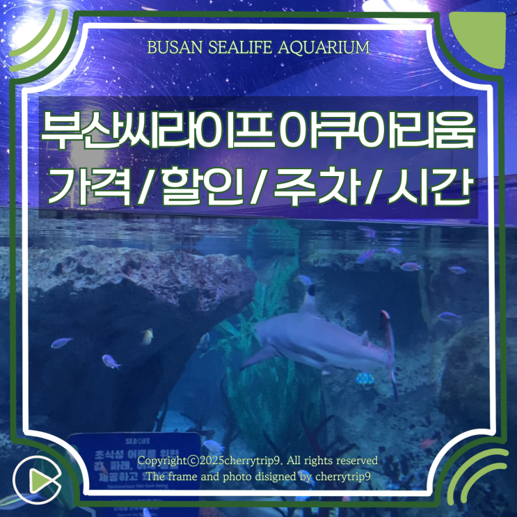  부산 씨라이프 아쿠아리움 입장권 할인 공연시간 만차일때 주차장