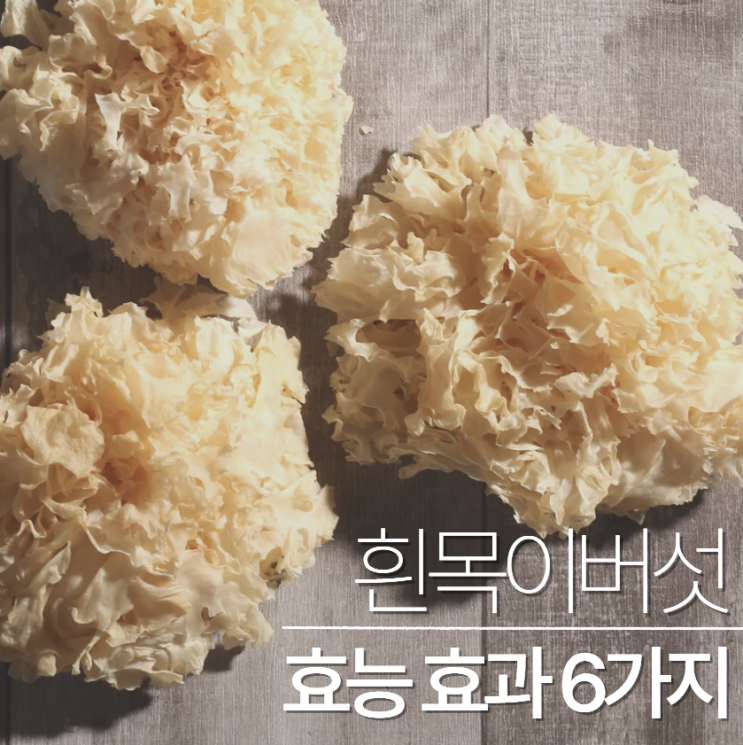  흰목이버섯 효능 효과 6가지 콜라겐