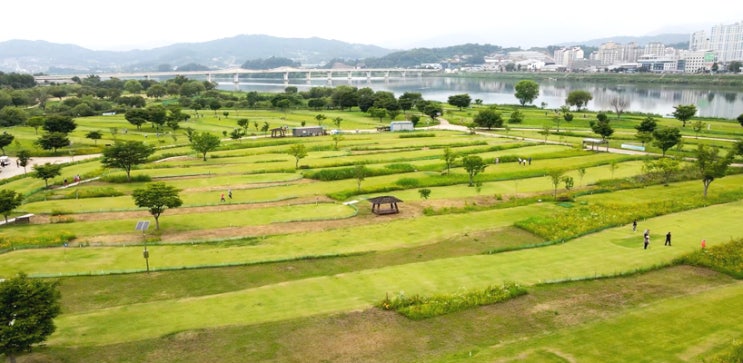  수도권 파크골프의 성지, 양평 파크골프장! 직접 가보니 이렇습니다