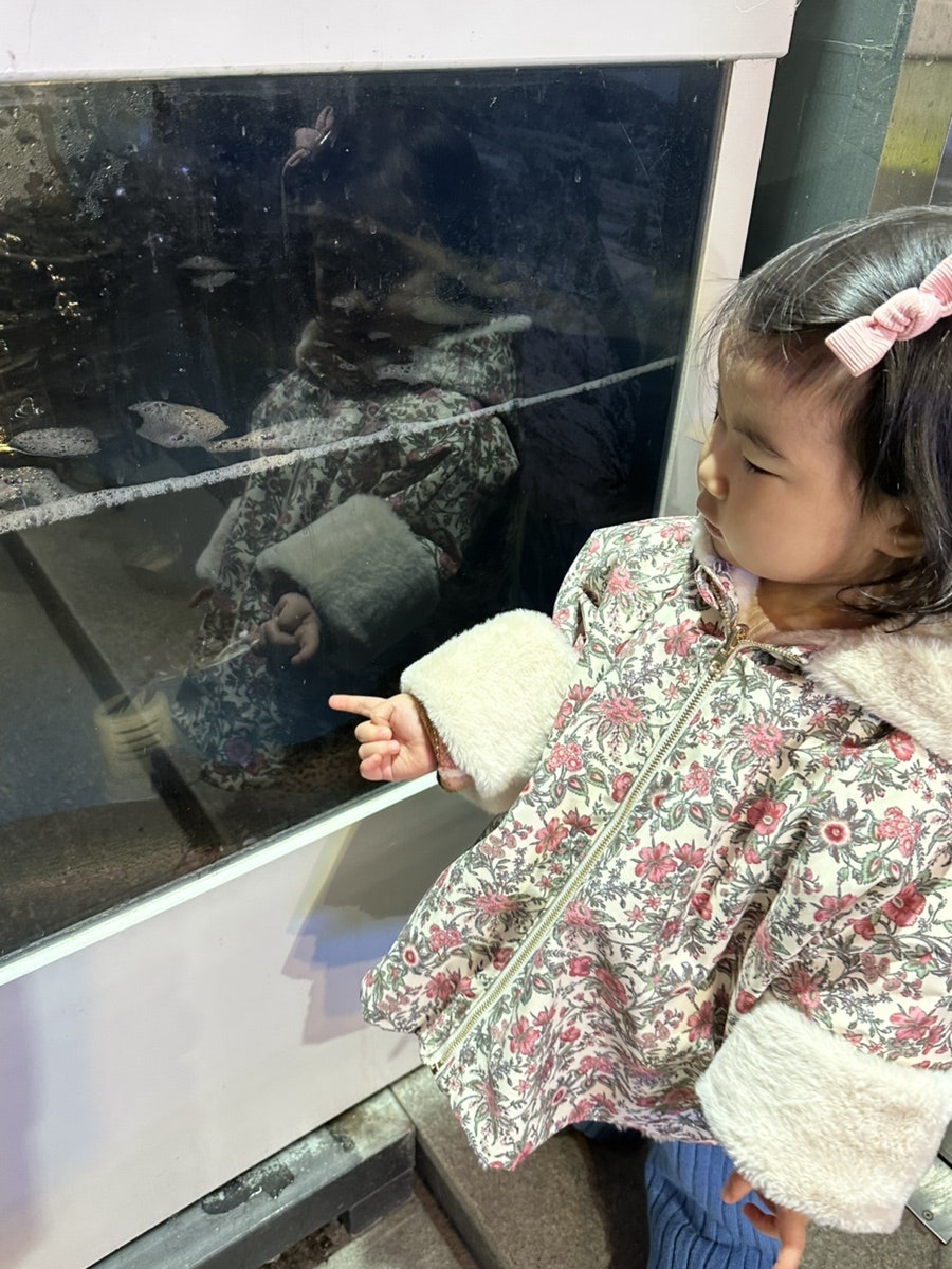 청강쏘가리 사진 6
