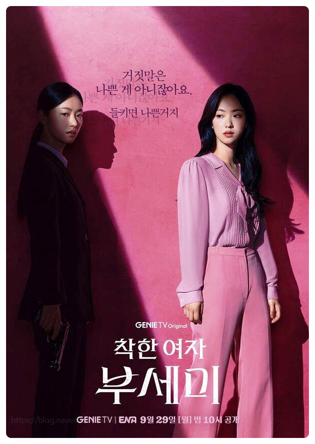  착한여자 부세미 출연진 등장인물 줄거리 전여빈 진영 OTT 몇부작 정보