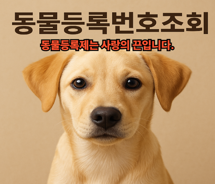 강아지 동물등록번호 조회 방법, 동물등록번호조회, 반려동물 등록