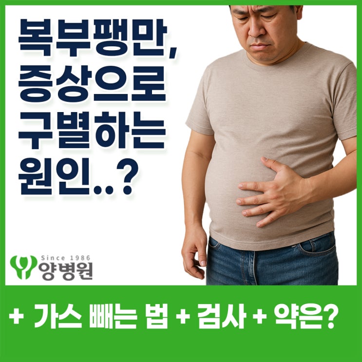  복부팽만, 복부팽만가스 빼는 법, 소화불량 원인 해결? 초음파로 다 알 수 있을까? | 강동역 소화기내과