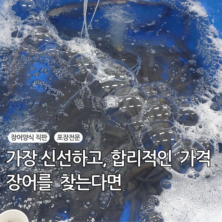  순천장어는 무조건 여기! 직접 양식해서 싸고, 신선함