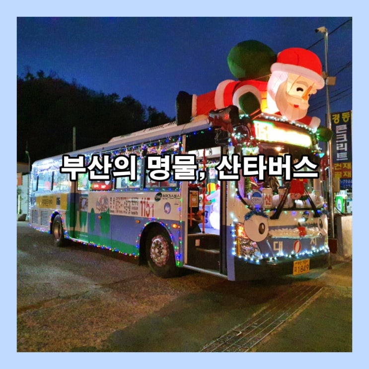  부산의 명물 115-1번 산타버스