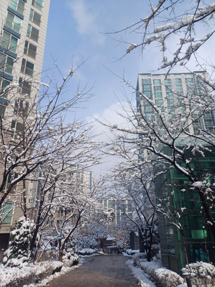  10월 01일 주요신문 헤드라인