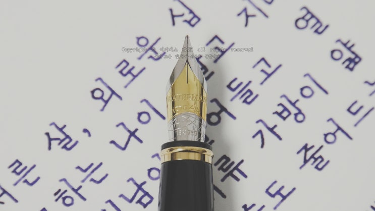  “서른 살, 외로운 십 년을 예고하는 나이” (워터맨 만년필로 필사하기)