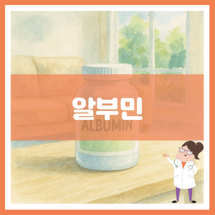 알부민 5가지 효능 섭취방법 부작용