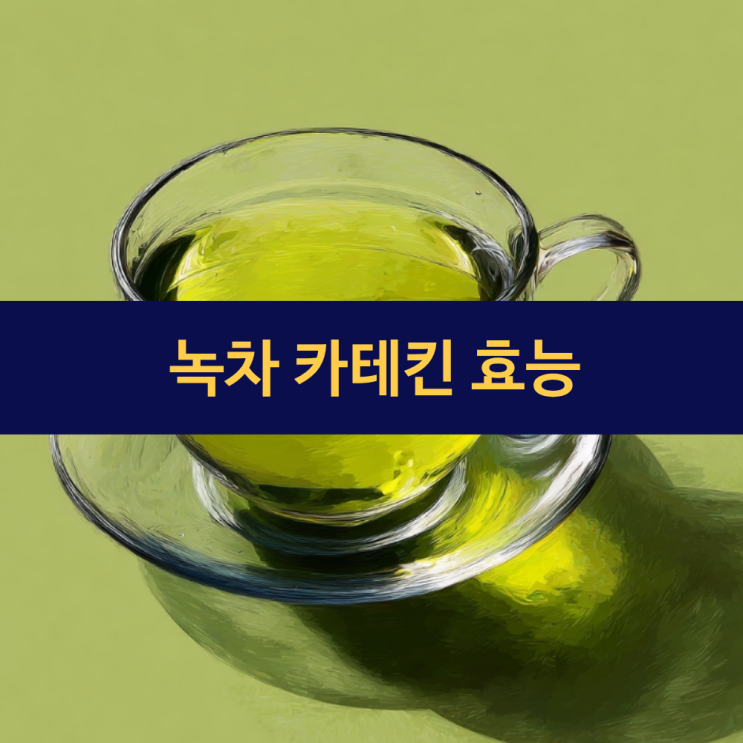  녹차 카테킨 효능 | 녹차 효능 | 녹차 성분의 살균력