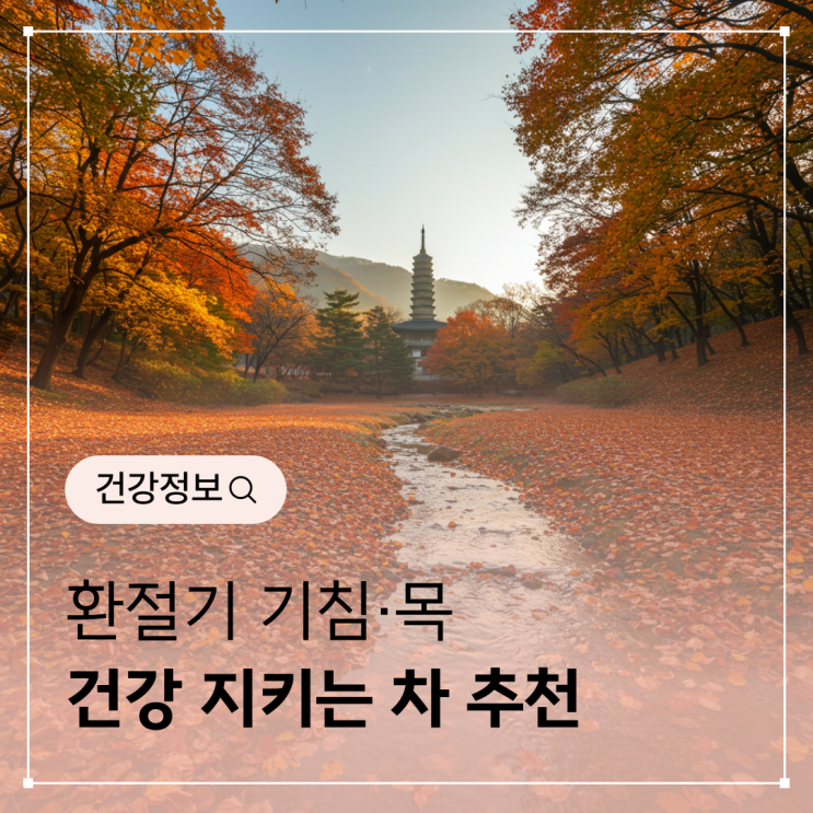 환절기 기침·목 건강 지키는 차 추천
