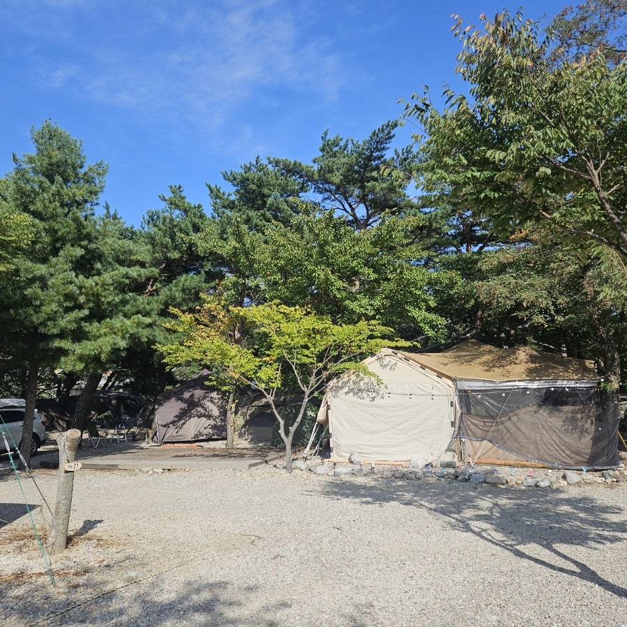 구만동오토캠핑장 사진 5