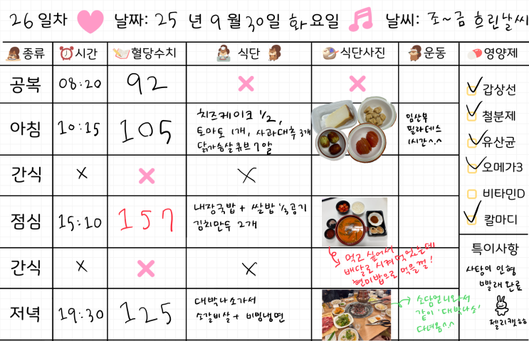  임신 32주차 | 임당식단 26일차 & 혈당체크 | 소갈비살, 내장국밥, 치즈케이크, 사과대추