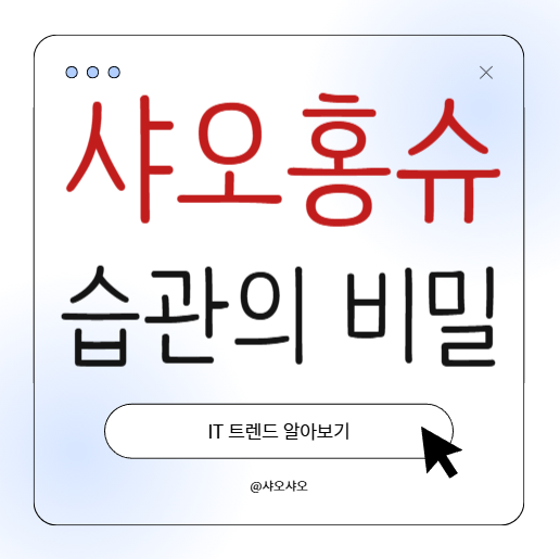  샤오홍슈, 중국 Z세대를 사로잡은 습관 플랫폼의 비밀