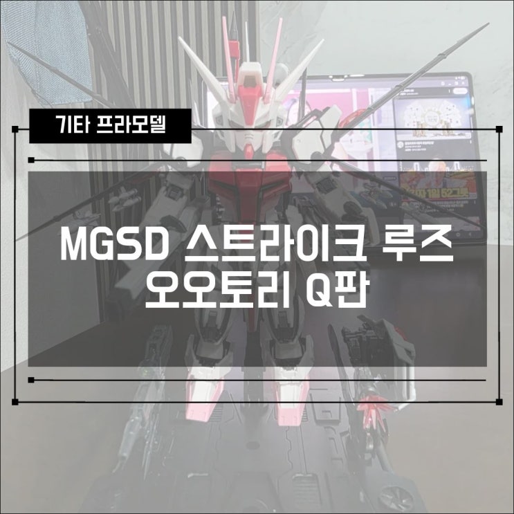  [프라모델] 중국 사제 MGSD 스트라이크 루즈 오오토리 Q판 조립 후기