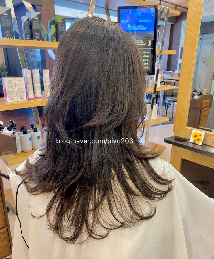  의정부 120% 미용실 여성컷트 하이 레이어드 볼륨컷으로 얼굴이 확 달라져요 