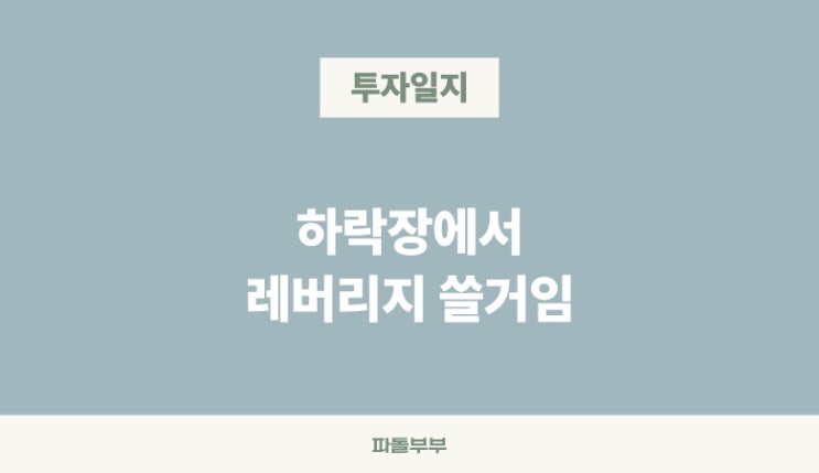  저도 레버리지 쓸겁니다?