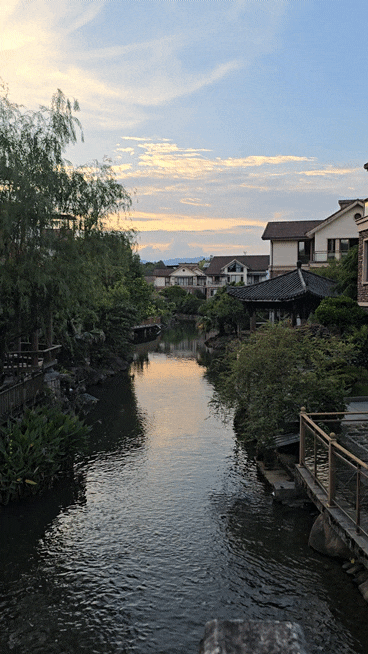  무이산 여행 로컬 맛집 巷子里(향쯔리) 훈제거위와 현지 요리 후기