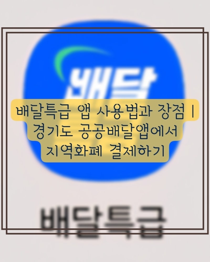 배달특급 앱 사용법과 장점 | 경기도 공공배달앱에서 지역화폐 결제가능!