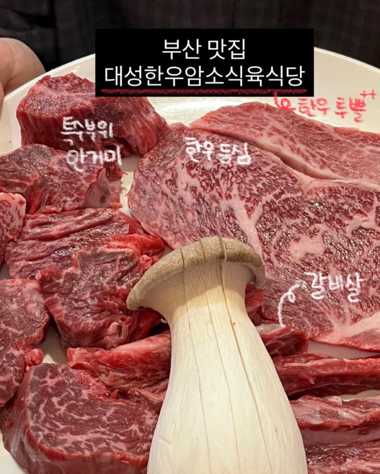  명륜역 맛집 대성한우암소식육식당 | 동래구 소고기집