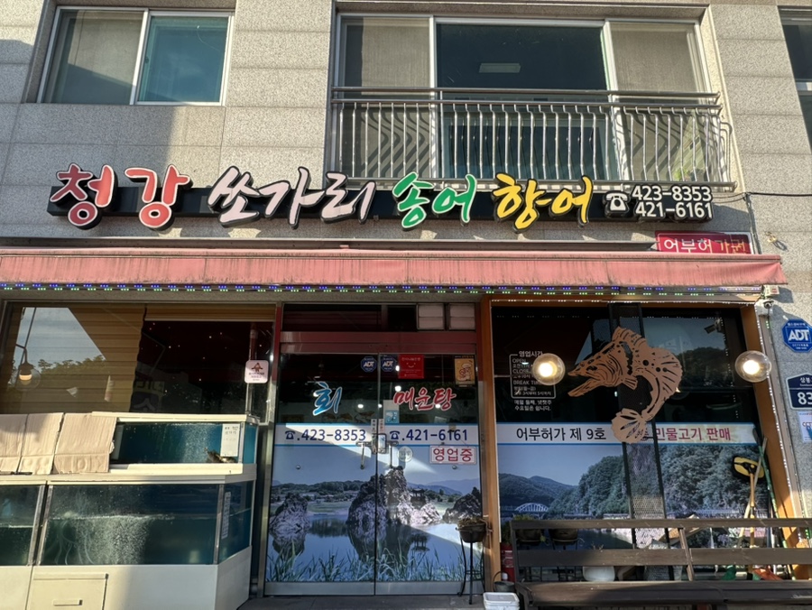 청강쏘가리 사진 2