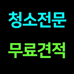  과천 집청소업체 추천 집 청소도우미 거주청소 전문 비용 가격  내돈내산 견적 후기ㅣ아줌마 파출부 아파트 주택 빌라 오피스텔 원룸 투룸 가정집