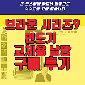 브라운 시리즈9 면도기 교체용 날망 일체형 후기 + 면도날 추천 및 교체 타이밍 팁