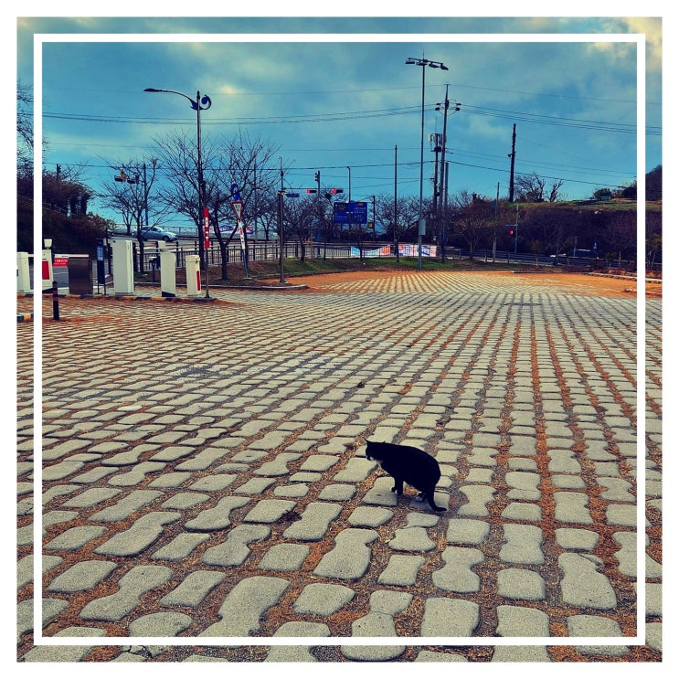  울산 개인회생 변호사 선택 시 꼭 알아야 할 법률 절차와 비용