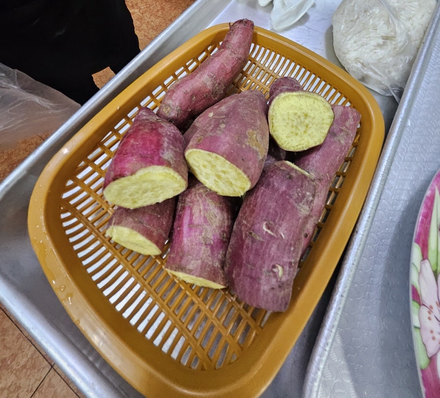 현정이네 사진 6