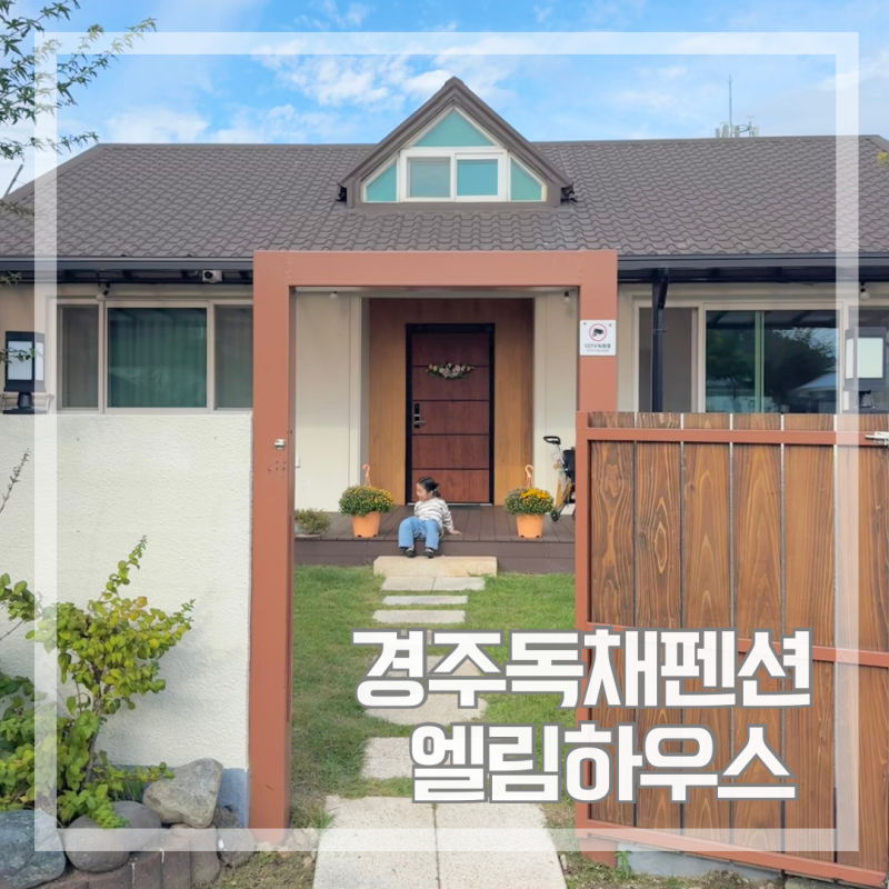 사진 8