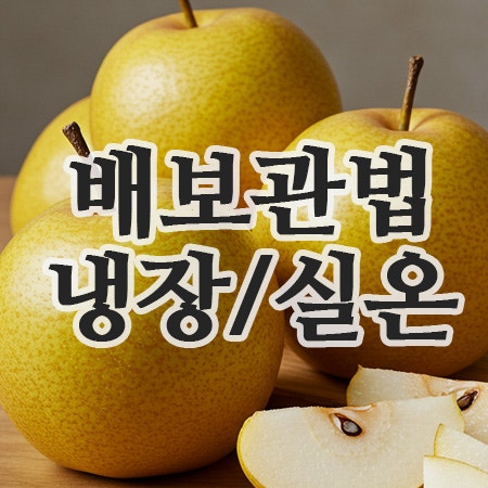  배보관법 : 냉동, 냉장, 상온,한 달도 거뜬해요