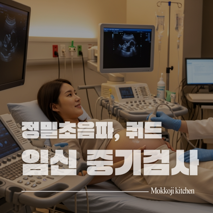  산전검사 완전정리 4편! 임신 중기 정밀초음파와 기형아검사 | 쿼드검사 20주 초음파 임신성당뇨