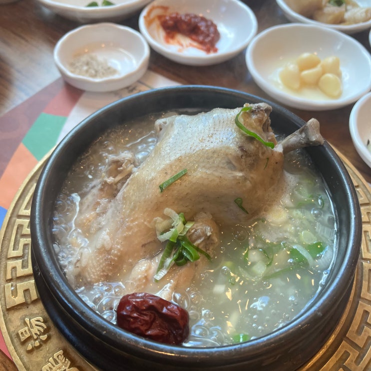 [전주 호성동] 한방삼계탕 맛집 개성삼계탕닭한마리