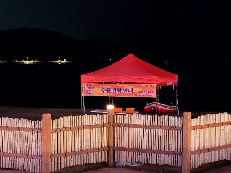 사진 10