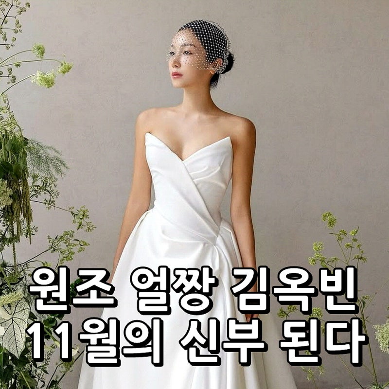 김옥빈 11월 결혼 발표 예비신랑 누구 프로필 최신 근황