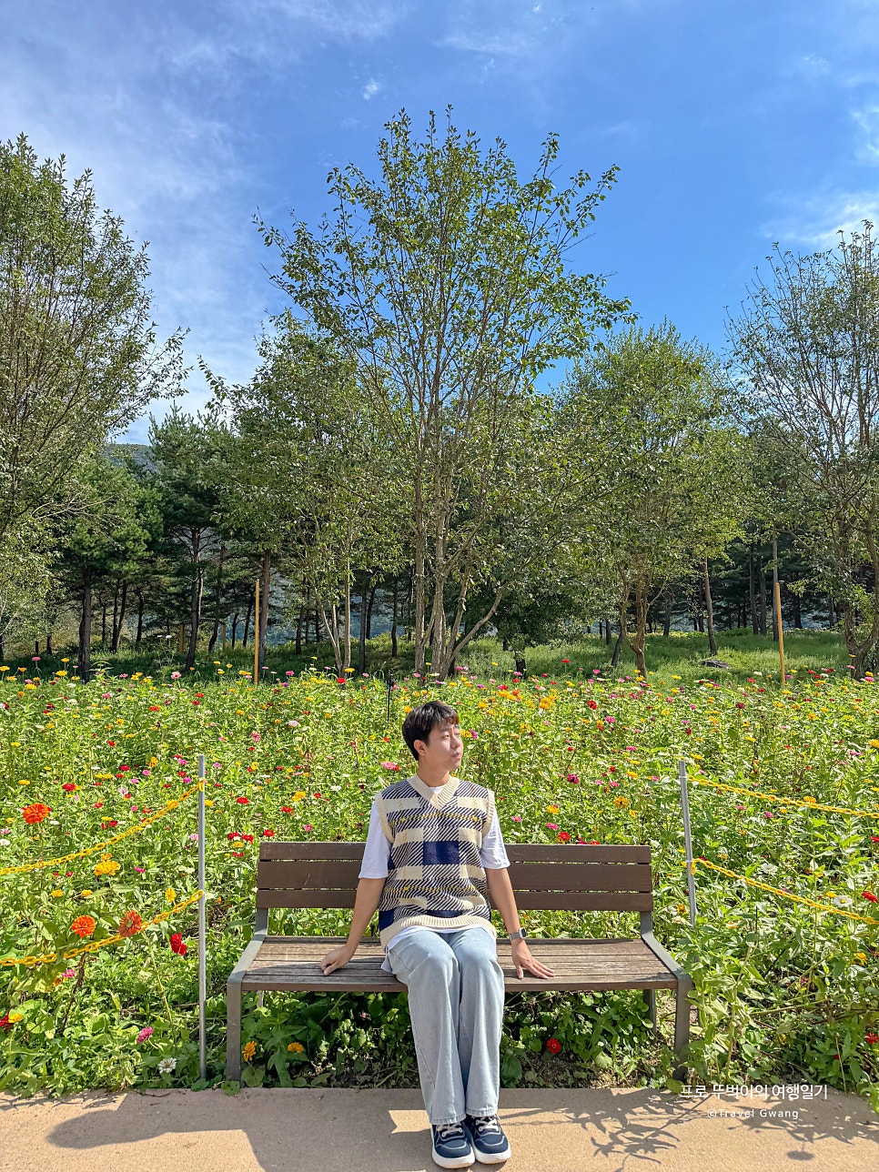 파네링 사진 2