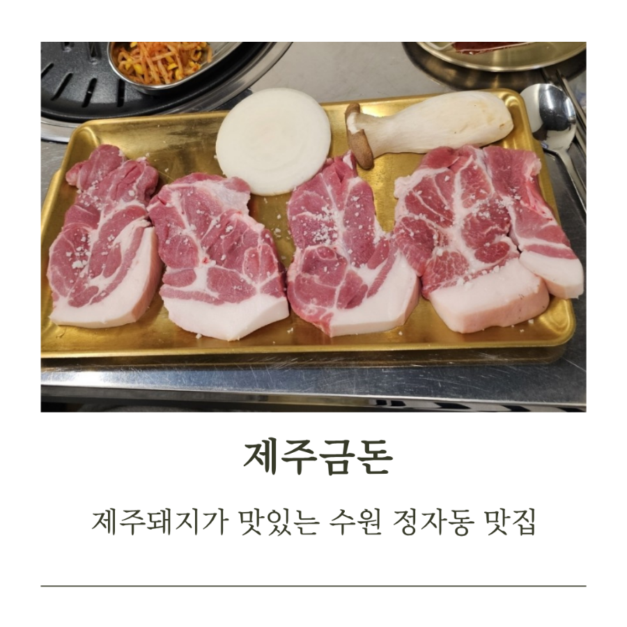 제주금돈 사진 1